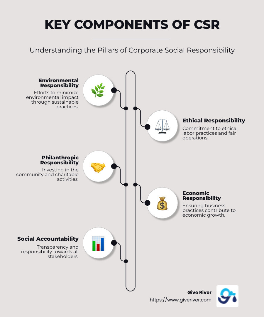 CSR Overview with Four Categories: Environmental, Ethical, Philanthropic, Financial - what is csr infographic infographic-line-5-steps-neat_beige