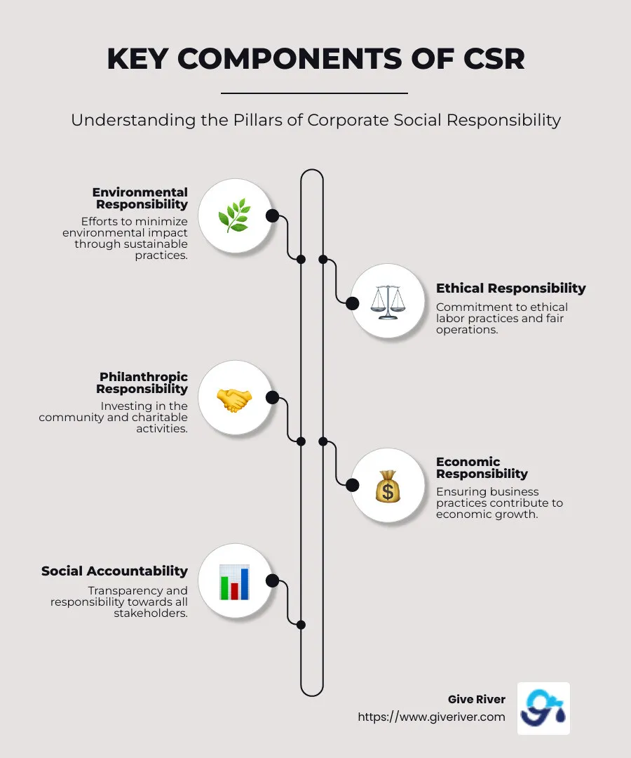 CSR Overview with Four Categories: Environmental, Ethical, Philanthropic, Financial - what is csr infographic infographic-line-5-steps-neat_beige