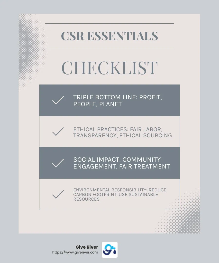 CSR Infographic - csr examples infographic checklist-light-blue-grey