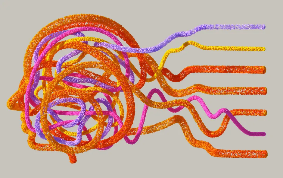 brain highlighting reward centers during social interaction