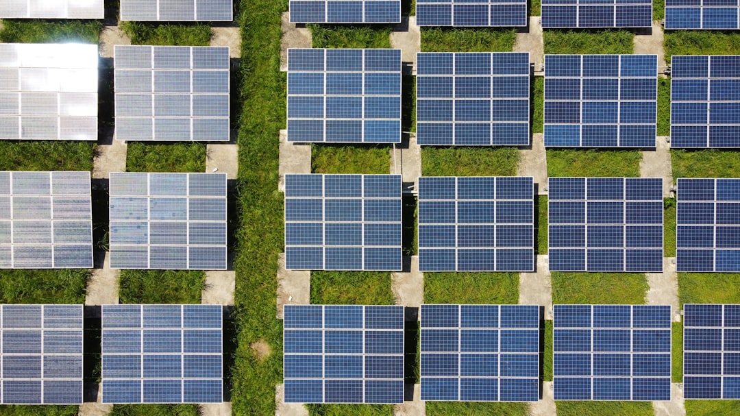 ecological sustainability challenges facing businesses - what are the five driving forces of corporate social responsibility