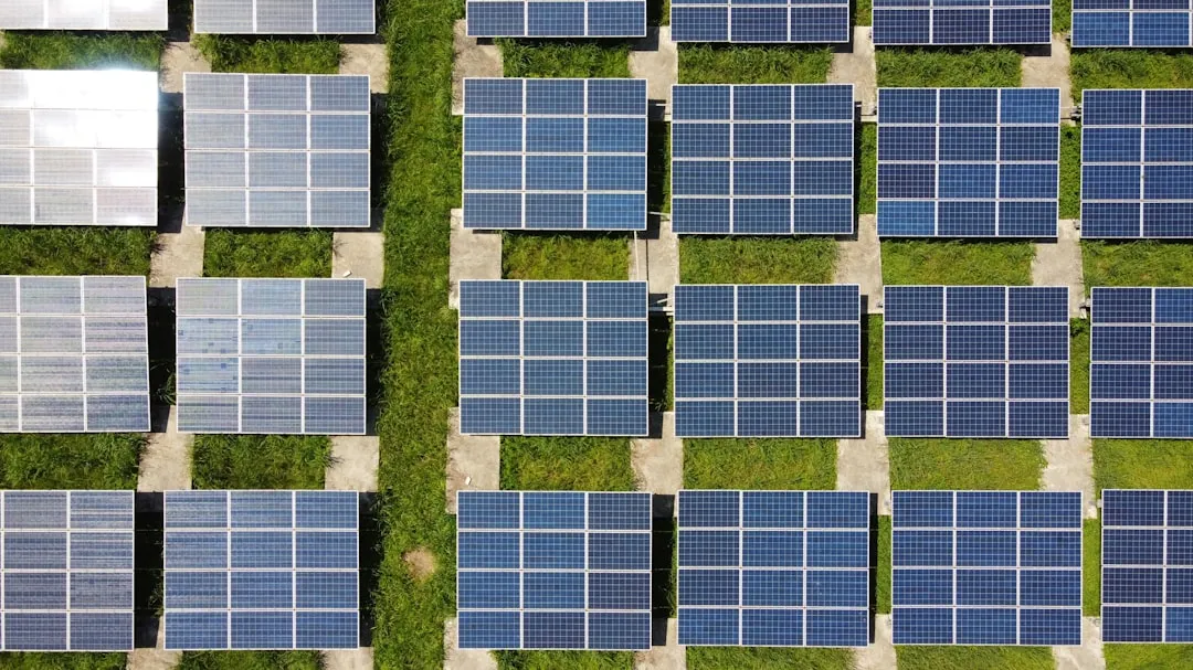 ecological sustainability challenges facing businesses - what are the five driving forces of corporate social responsibility
