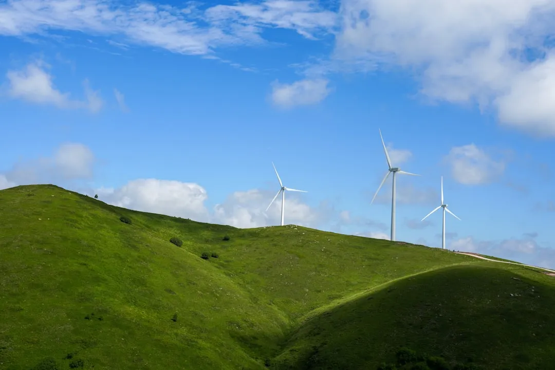 Why Environmental Responsibility is the New Corporate Standard