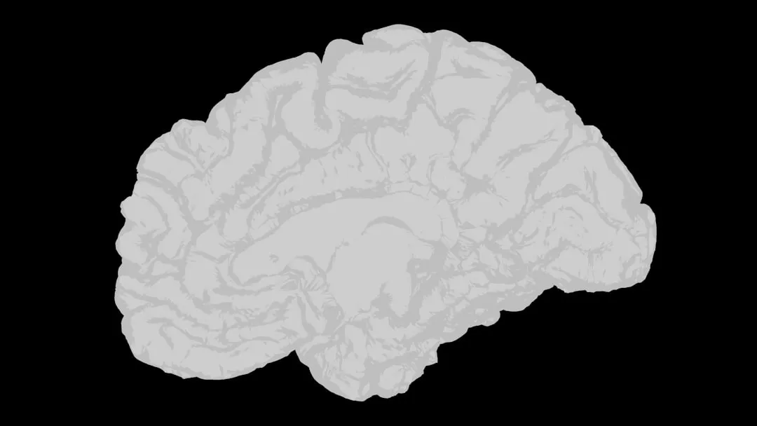 Brain activity showing dopamine response to positive reinforcement - employee appreciation and engagement