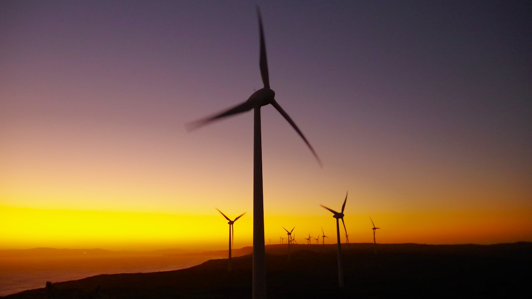 wind farm at sunset - new csr initiatives
